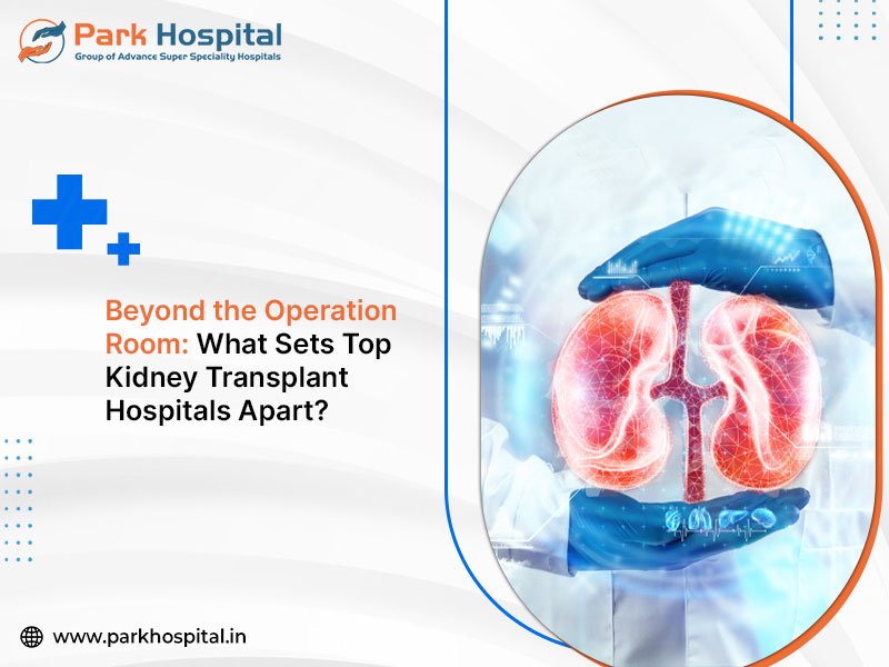 Beyond the Operation Room: What Sets Top Kidney Transplant Hospitals Apart?